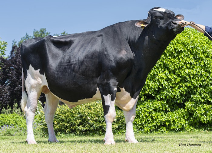 Dairy Sires