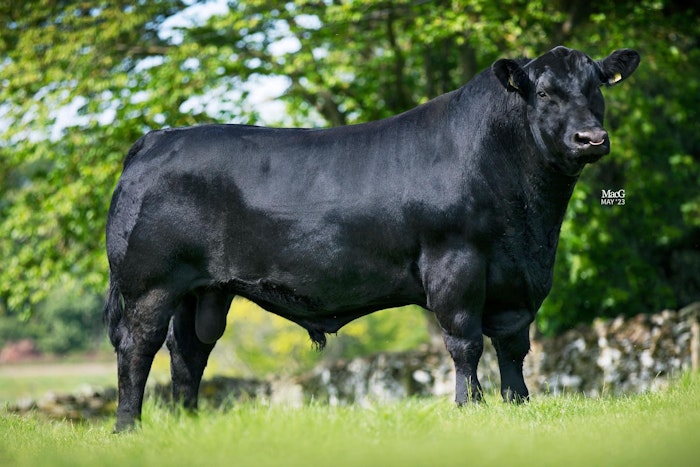 Semen Sales