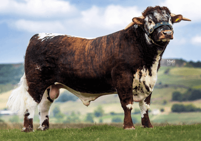 Wheatlands VALIANT