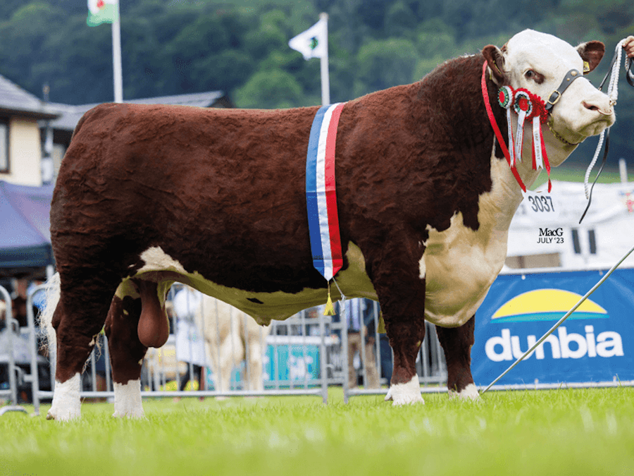 Solpoll 1 TRAILBLAZER at the 2023 Royal Welsh Show