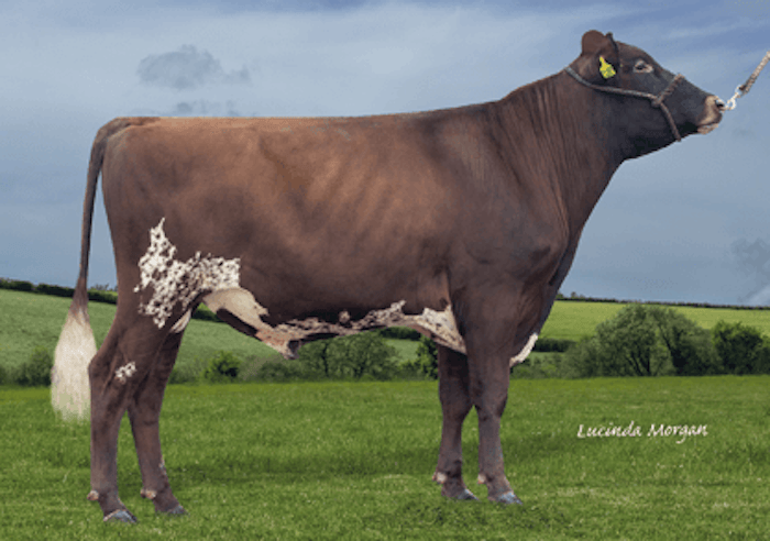 Marleycote PROGRESSION