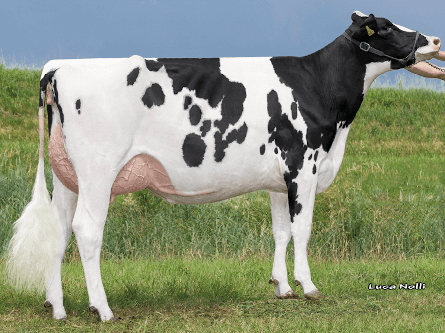 RIVOLTO daughter Cristella Rivolto Velley