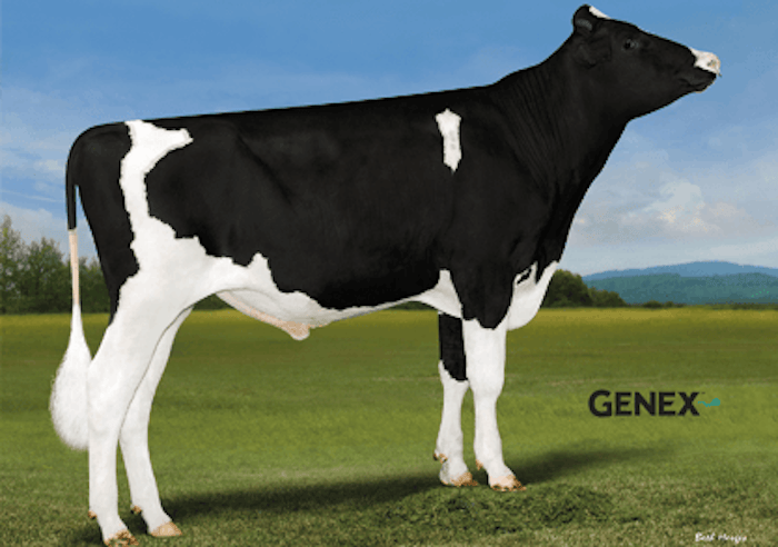 Peak SPLISHSPLASH sexed