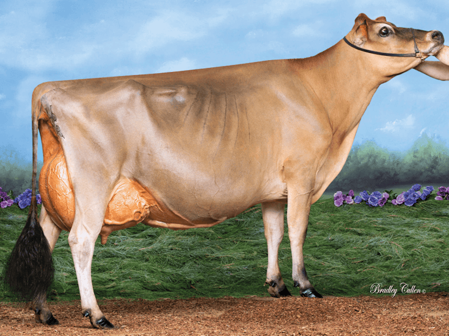 Miami Vanahlem Song EX92 is SONGSIDE's dam