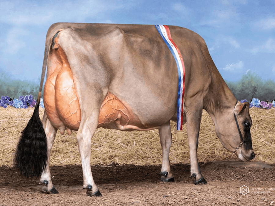Windy Ways Galaxies Dawn 7 EX95 is DINGO's dam